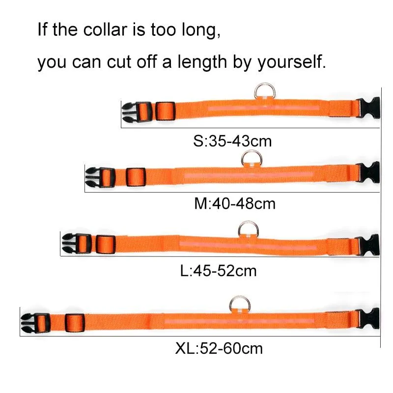 PET LED COLLAR WITH DIFFERENT MODES