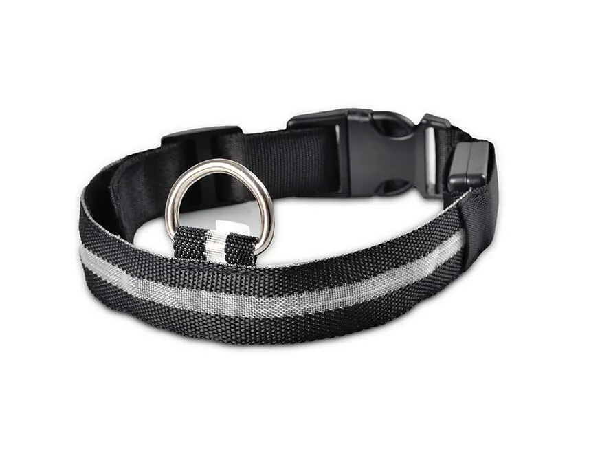 PET LED COLLAR WITH DIFFERENT MODES