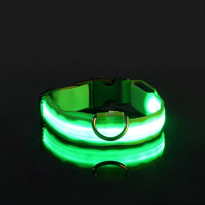 PET LED COLLAR WITH DIFFERENT MODES