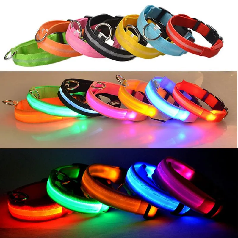 PET LED COLLAR WITH DIFFERENT MODES