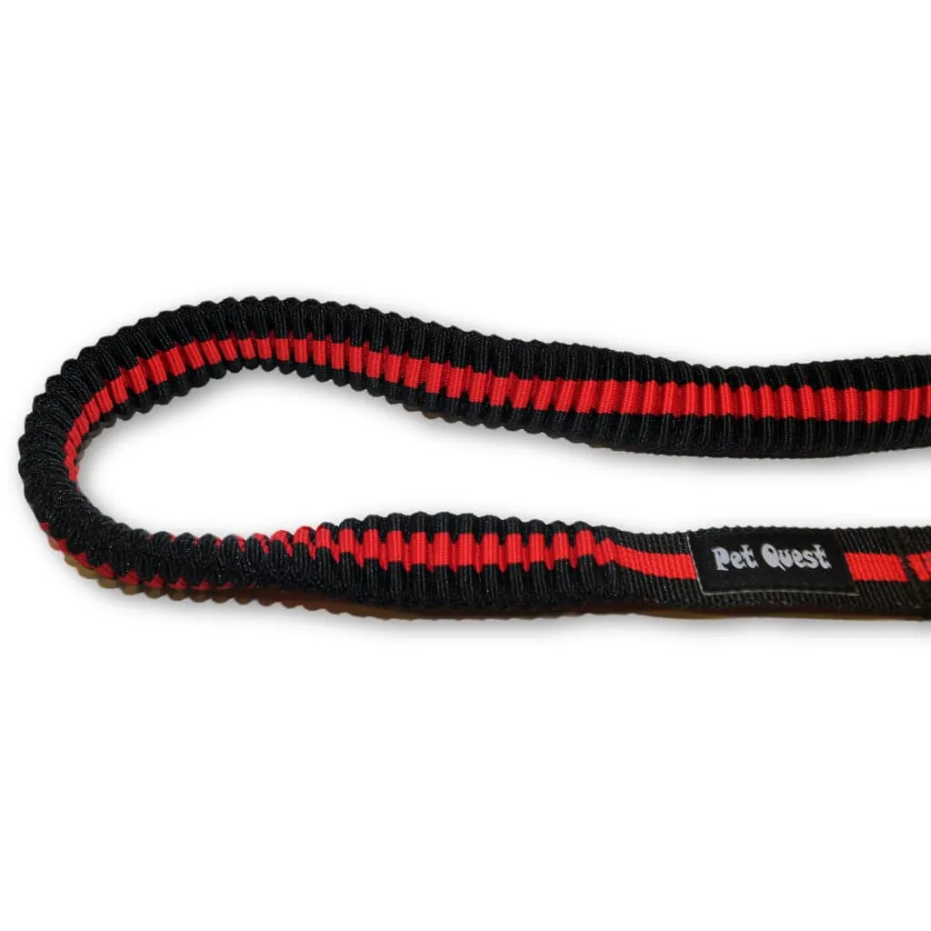 Pet Quest Bungee Leash