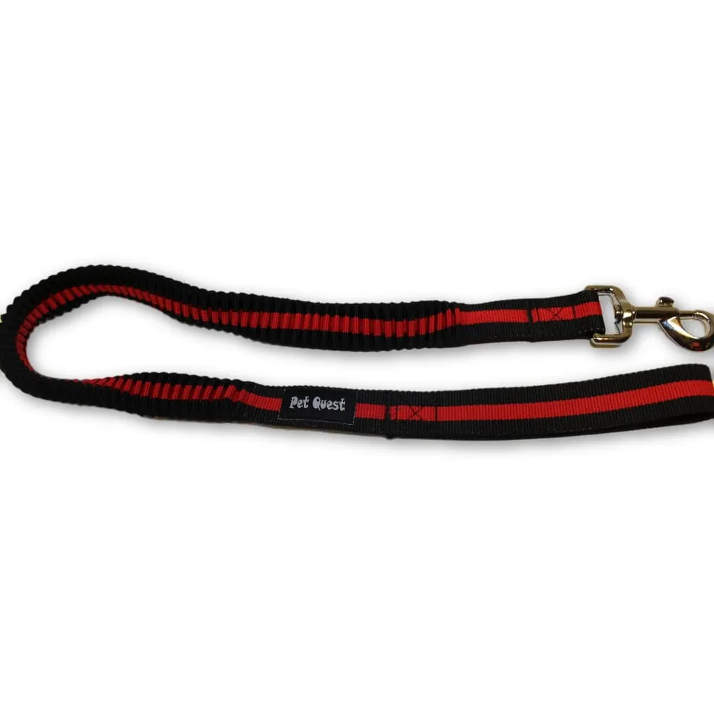 Pet Quest Bungee Leash
