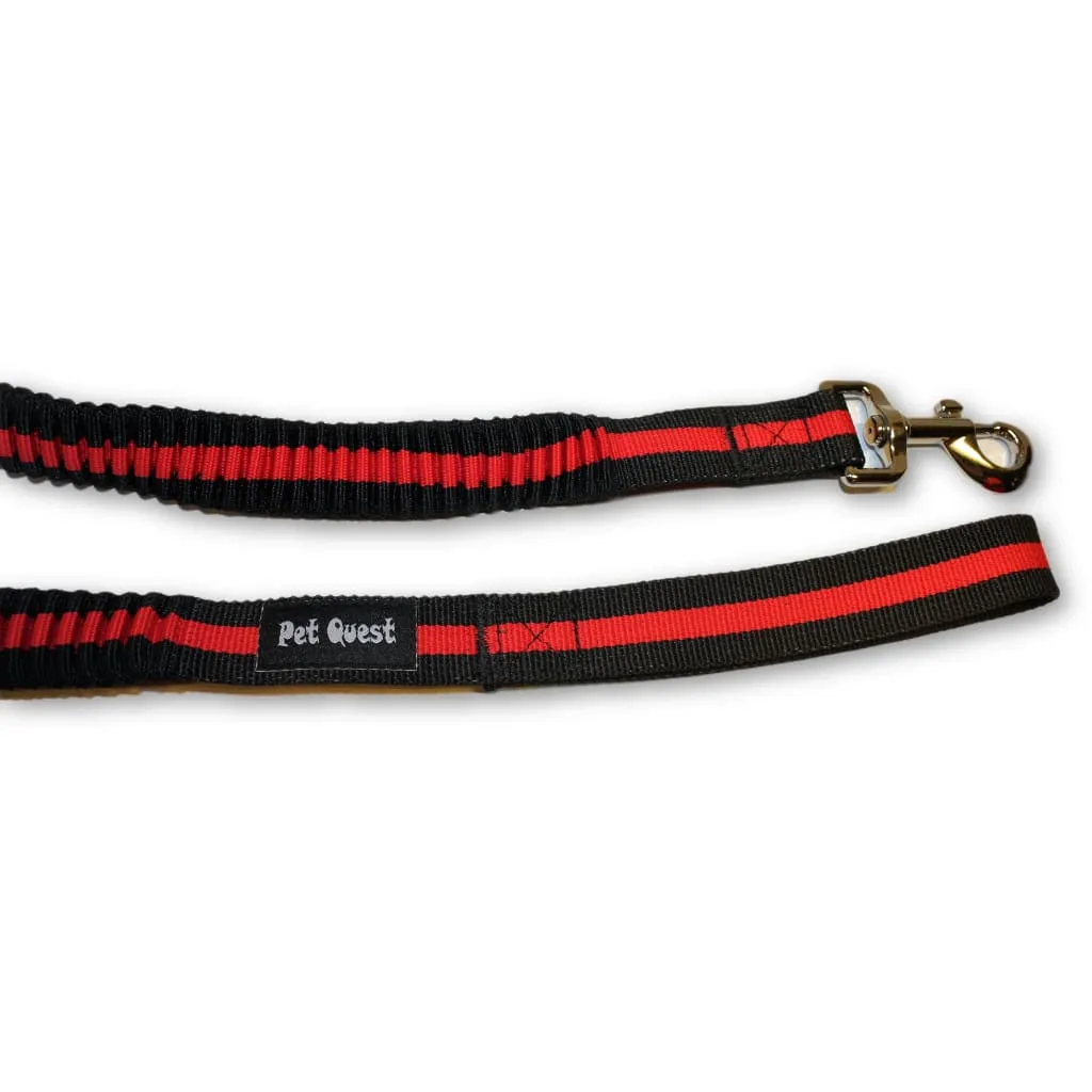 Pet Quest Bungee Leash
