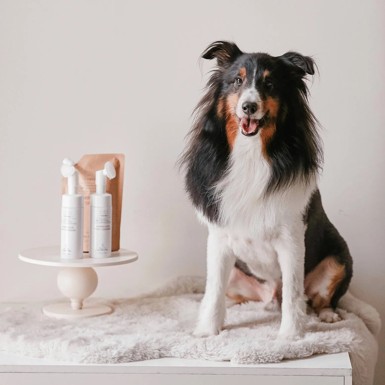 Pet Shampoo Amino Acid, Organic and Vegan, Refill Pouch - 500ml