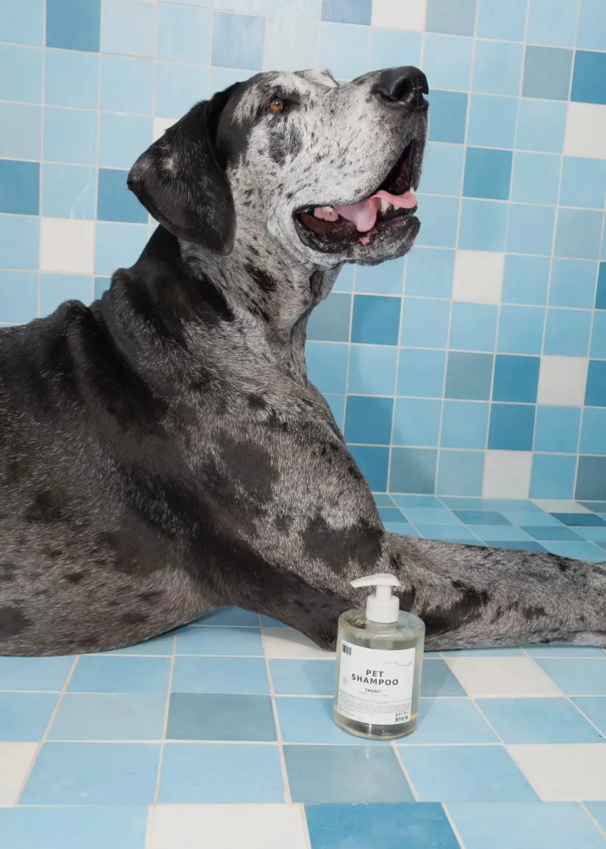 Pet Shampoo