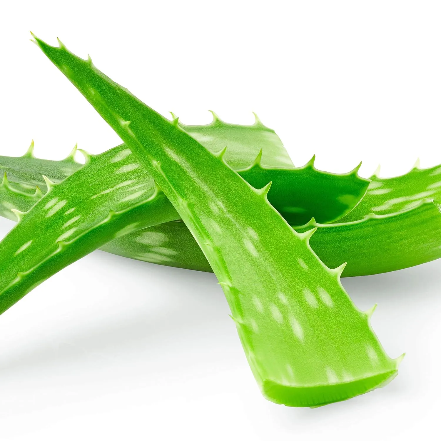 Petal Fresh ,,,,,,60 