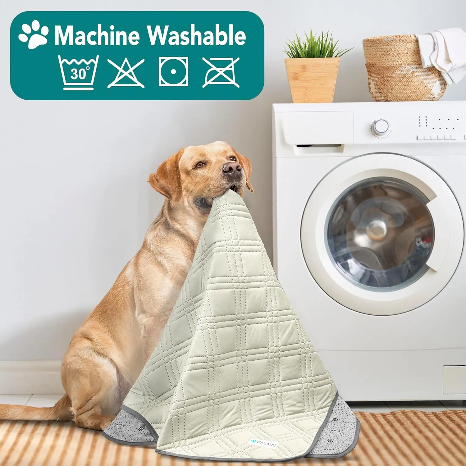 PetAmi ,,,Q-MAX ,,29x40