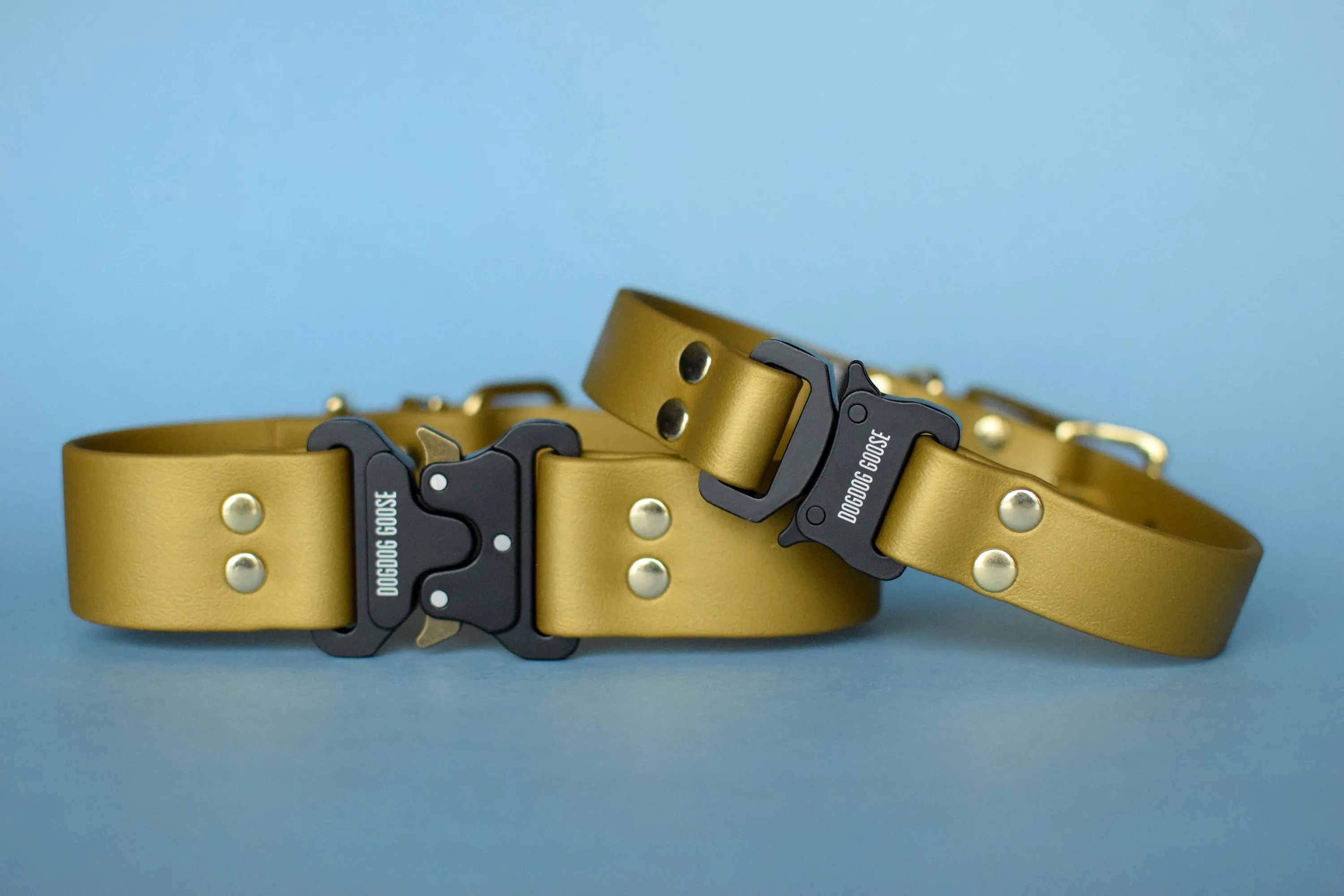 PREMADE COLLECTION - Gold & Brass Biothane Dog Collar