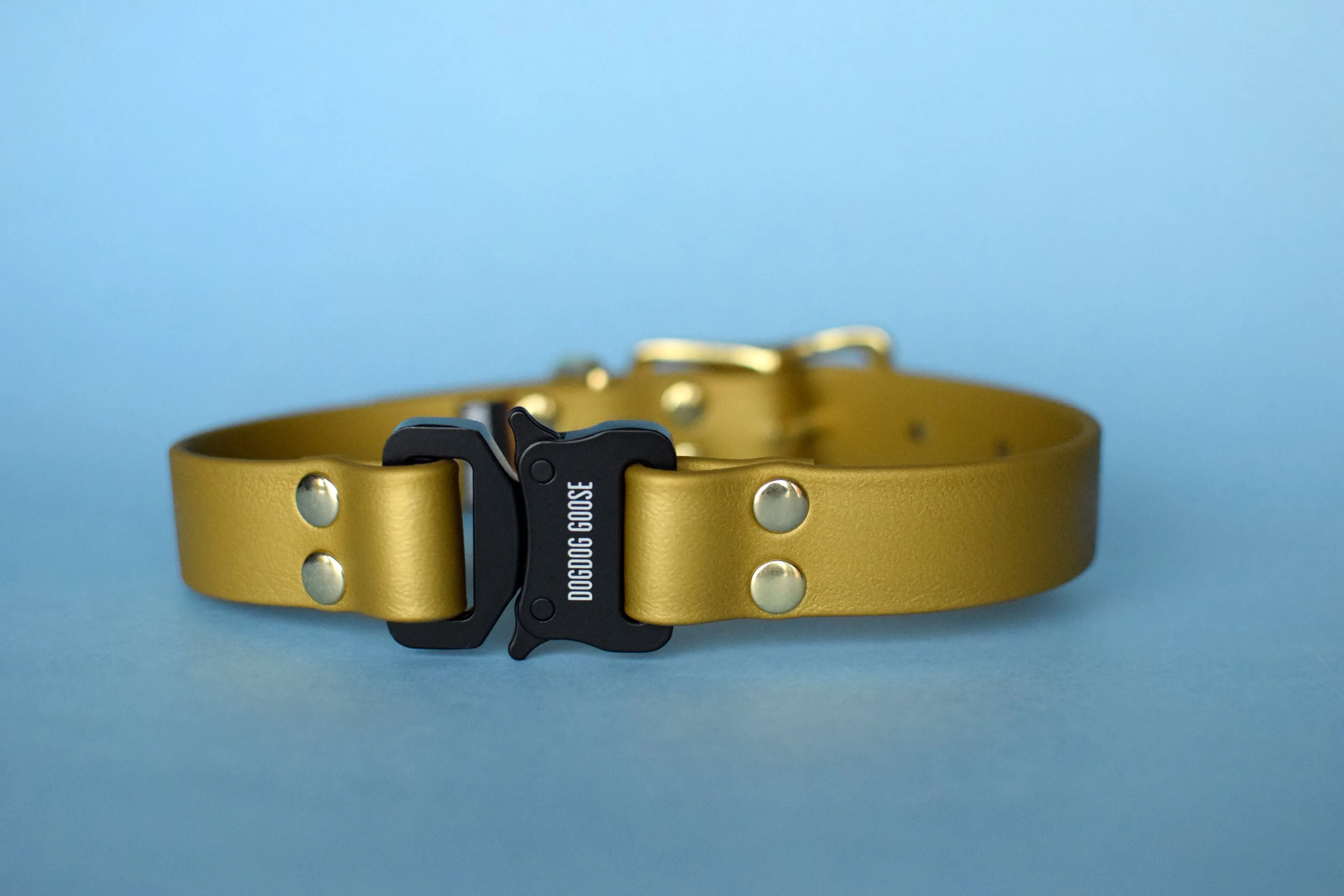 PREMADE COLLECTION - Gold & Brass Biothane Dog Collar