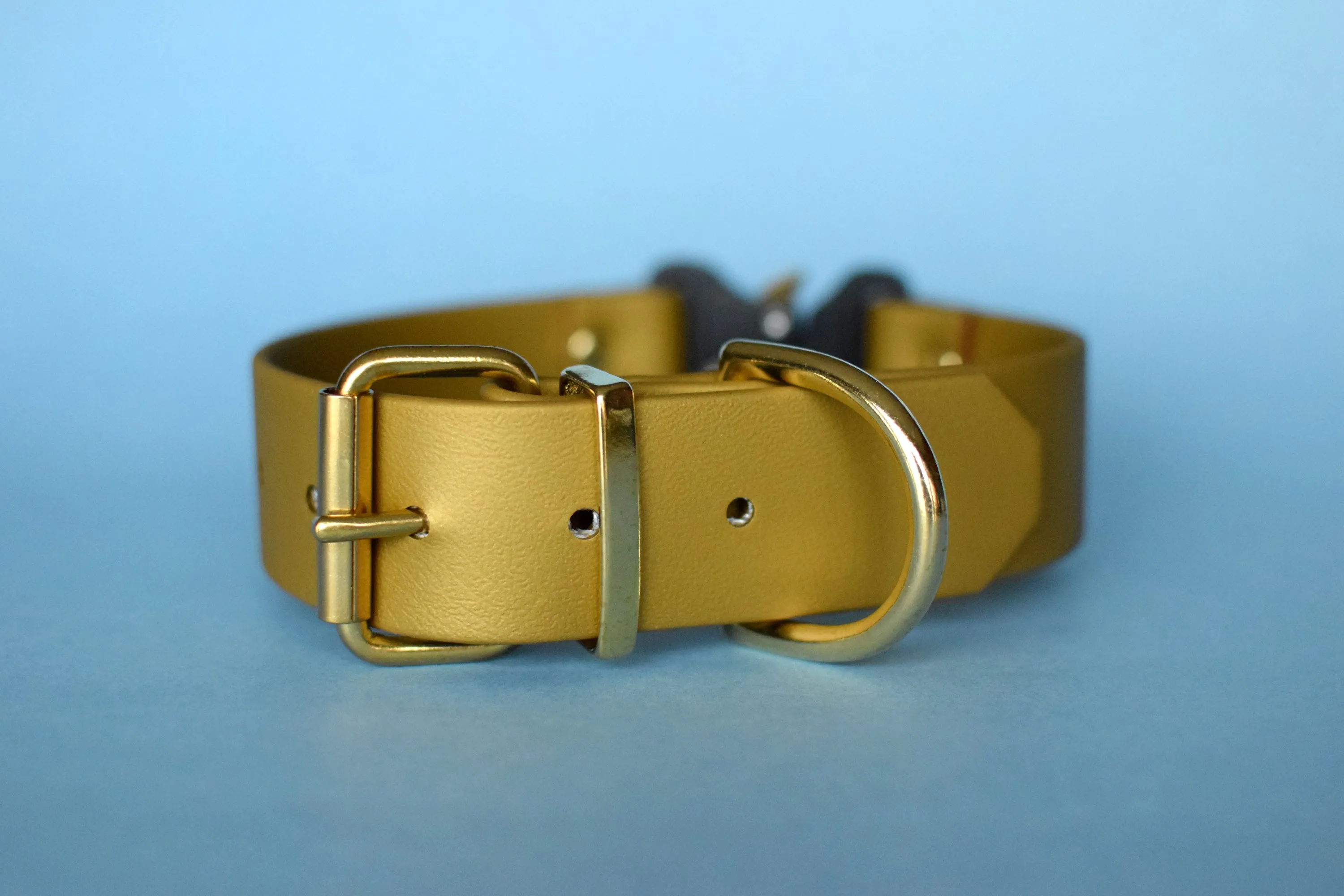 PREMADE COLLECTION - Gold & Brass Biothane Dog Collar