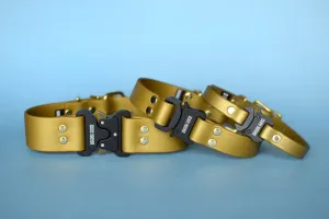 PREMADE COLLECTION - Gold & Brass Biothane Dog Collar