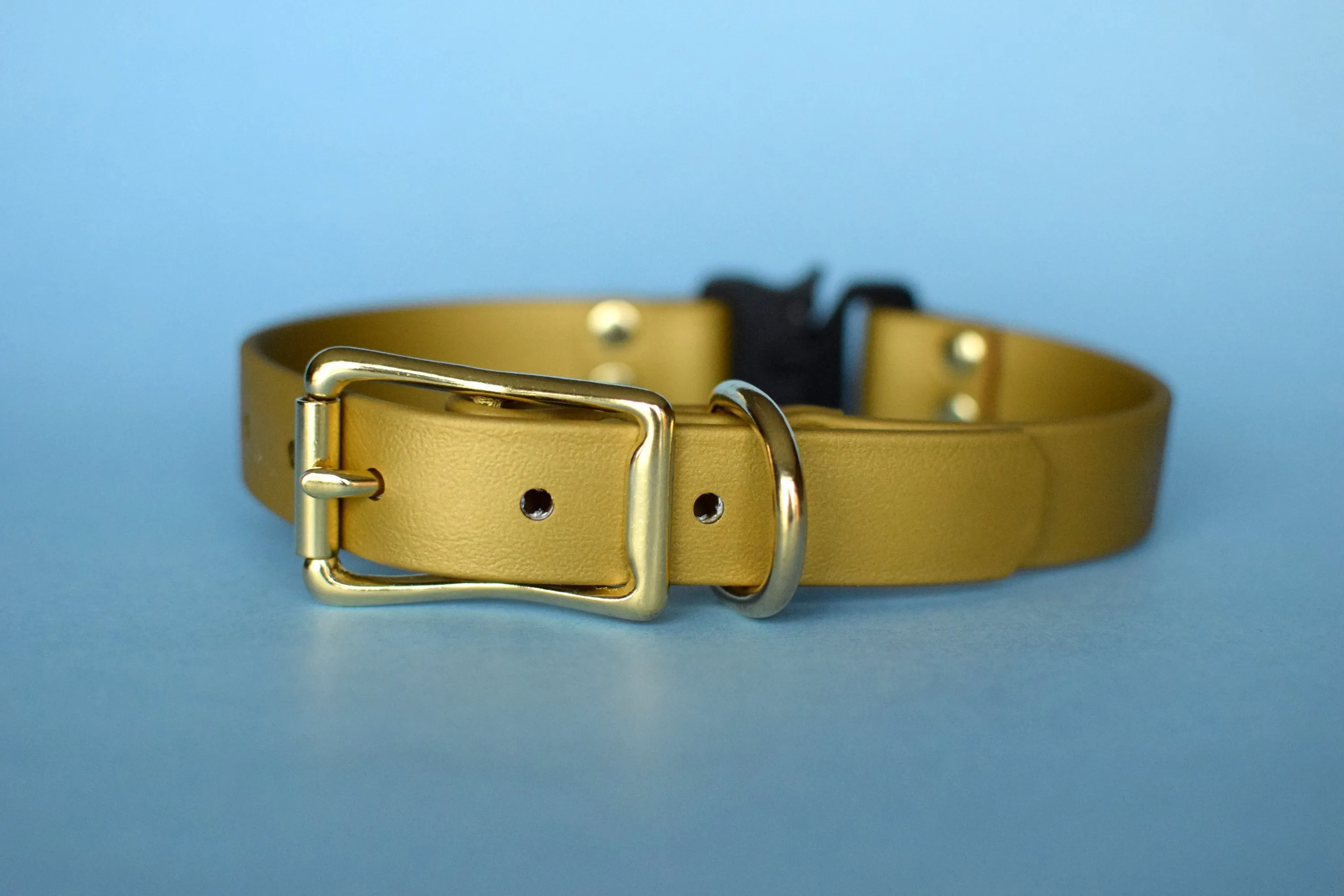 PREMADE COLLECTION - Gold & Brass Biothane Dog Collar