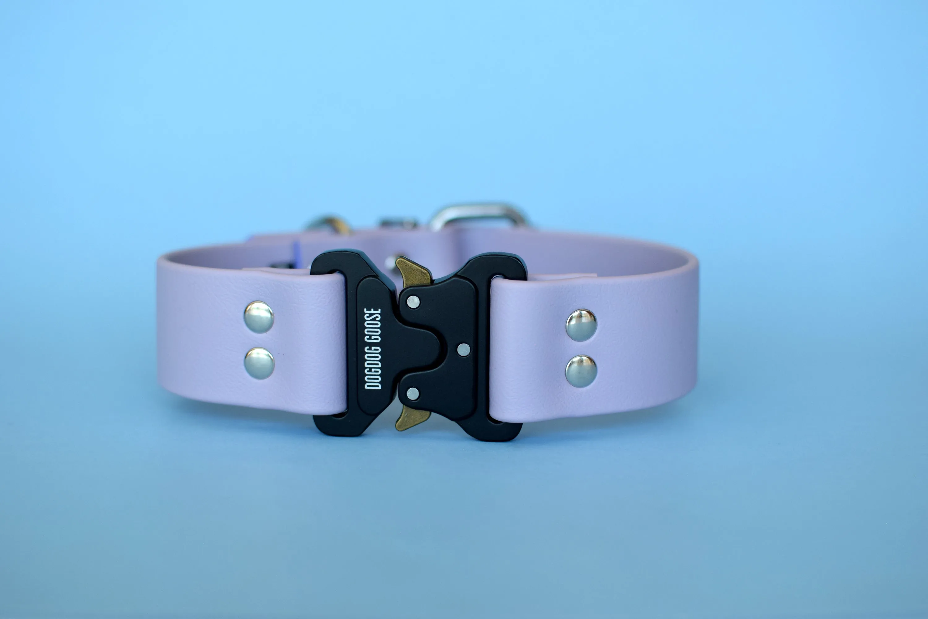 PREMADE COLLECTION - Pastel Purple & Nickel Biothane Dog Collar