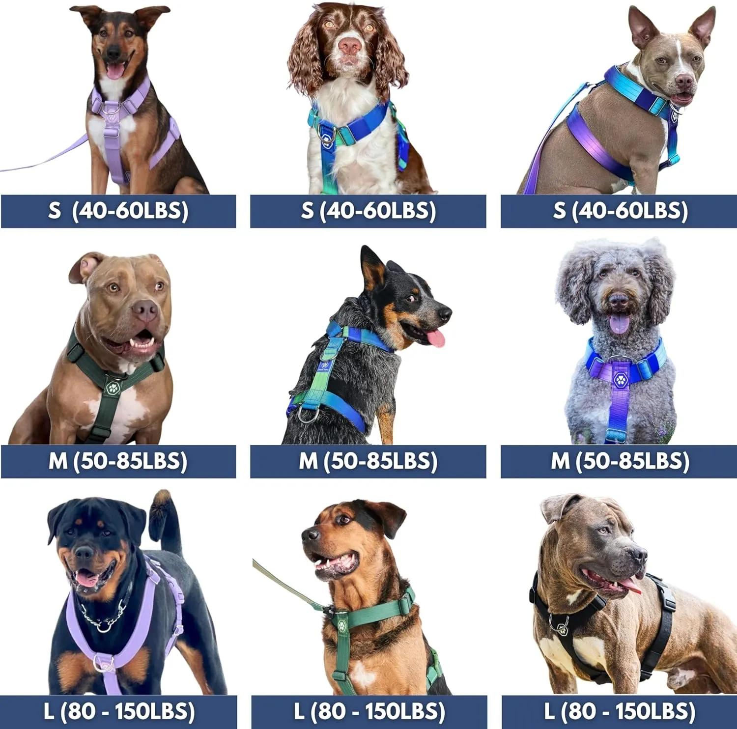 Spark Paws Large Dog No-Pull Harness, Halter Design with Front Clip, Durable and Heavy-Duty for Big and Strong Breeds - Kaleidoscope- L