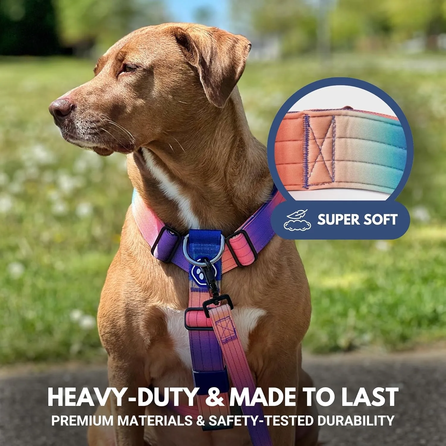 Spark Paws Large Dog No-Pull Harness, Halter Design with Front Clip, Durable and Heavy-Duty for Big and Strong Breeds - Kaleidoscope- L