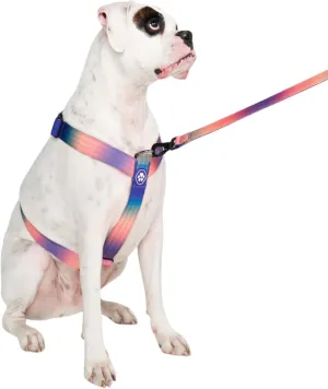 Spark Paws Large Dog No-Pull Harness, Halter Design with Front Clip, Durable and Heavy-Duty for Big and Strong Breeds - Kaleidoscope- L