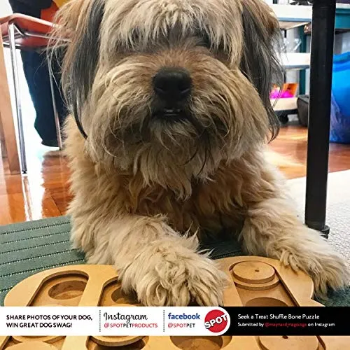 SPOT Interactive Seek-A-Treat Dog Toy Puzzle