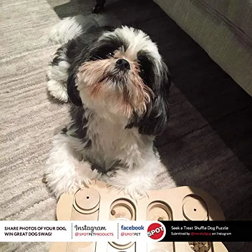 SPOT Interactive Seek-A-Treat Dog Toy Puzzle
