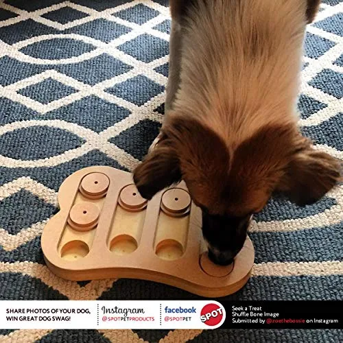 SPOT Interactive Seek-A-Treat Dog Toy Puzzle