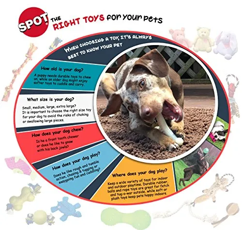 SPOT Interactive Seek-A-Treat Dog Toy Puzzle