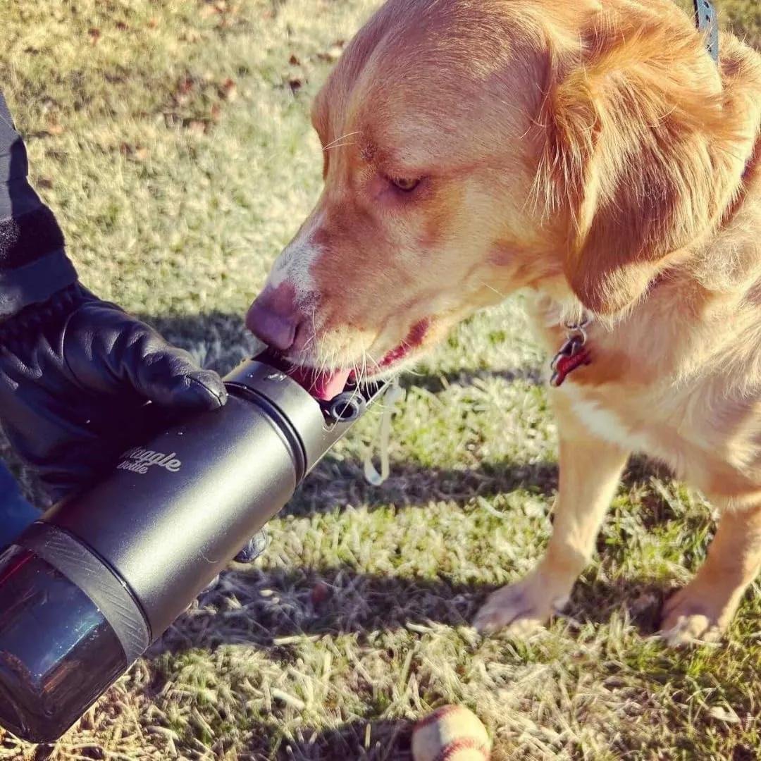 Stainless Steel Dog Travel Water Bottle, Vacuum Insulated Portable Dog Water Dispenser, Drink Cup and Snack Container On The Go, Outdoor Walking, Hiking, Travel (Forest Green)