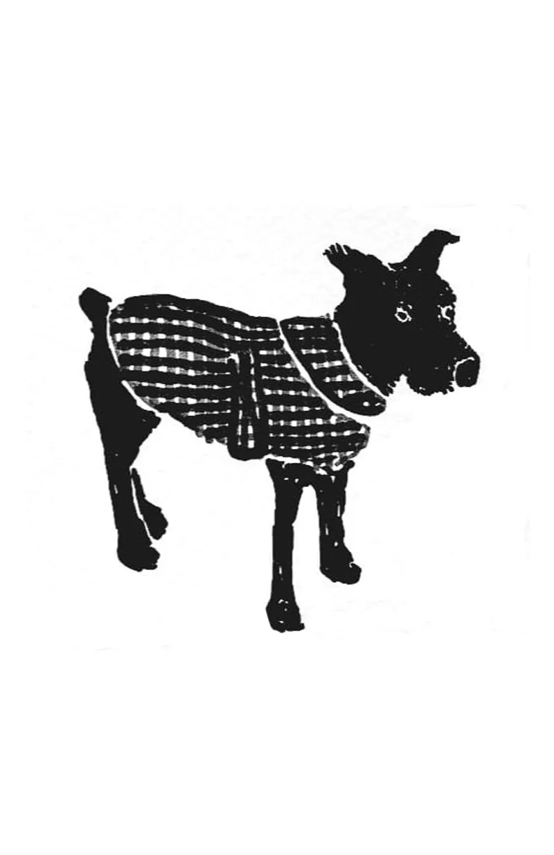 The Barka Dog Coat