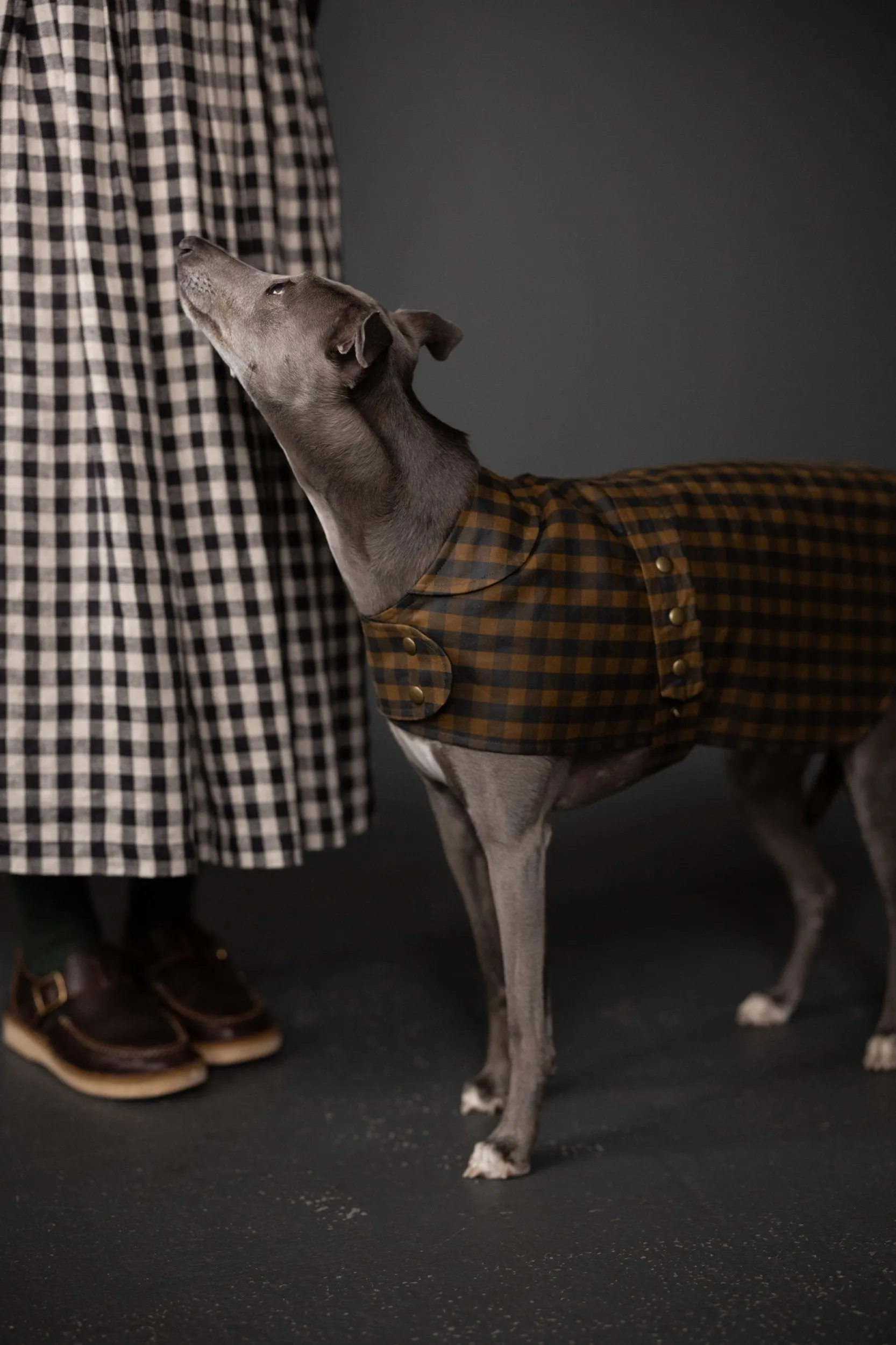The Barka Dog Coat