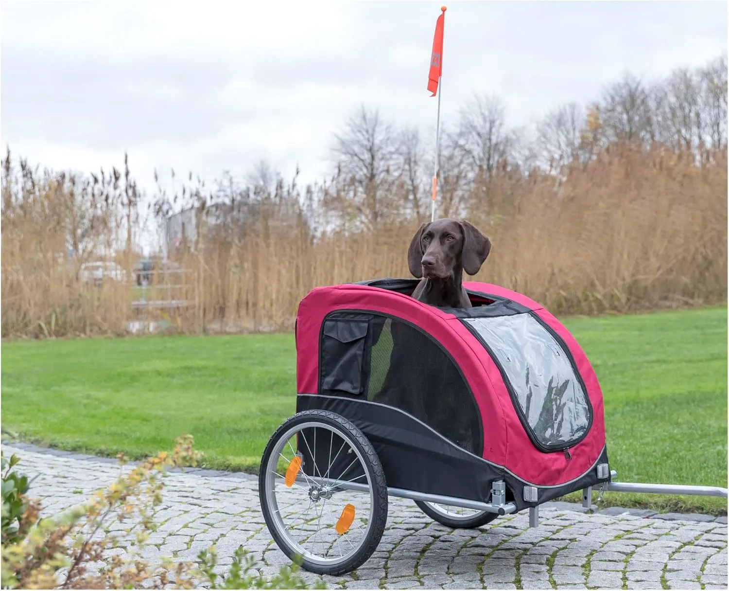TRIXIE Convertible Dog Bike Trailer and Pet Stroller for Medium Dogs up to 66 lbs, Quick Set-up and Fold Down, Red