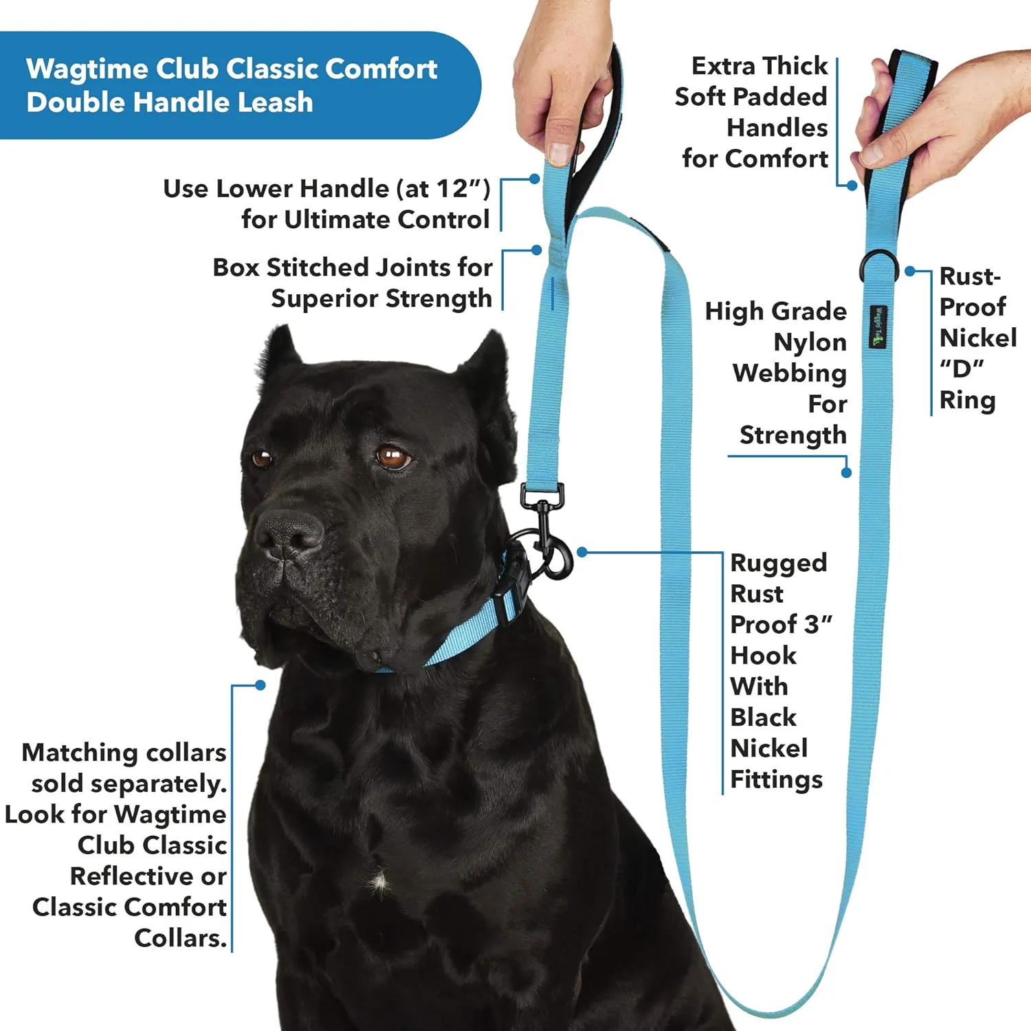 Wagtime Club Soft and Thick Double Handle Premium Nylon 4FT x 3/4 in Leash - Dual Neoprene Padded Handles for Ultimate Comfort and Control - for Medium to Large Dogs (Bright Blue)