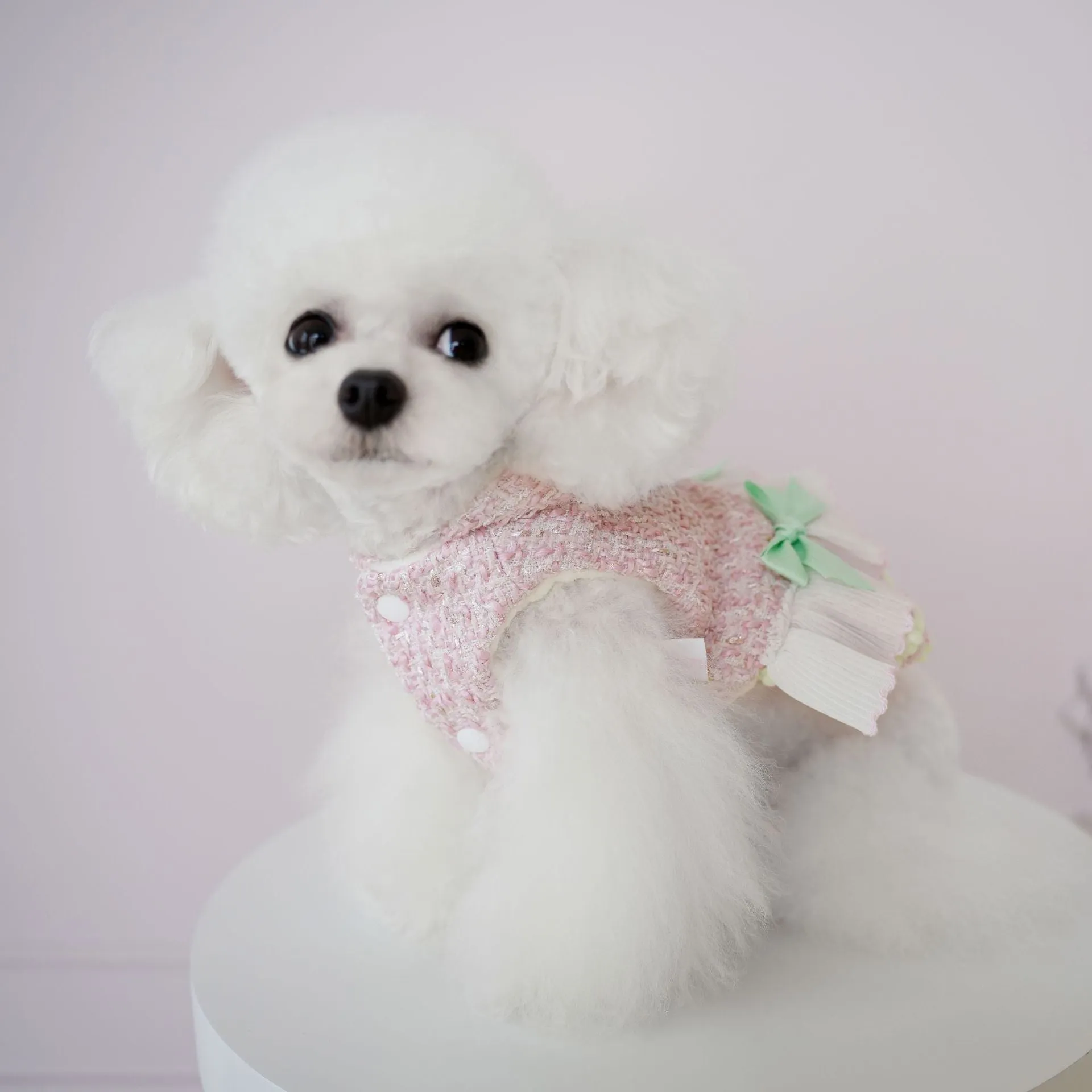 Warm Woollen Sweet Hooded Dog Dress Jacket