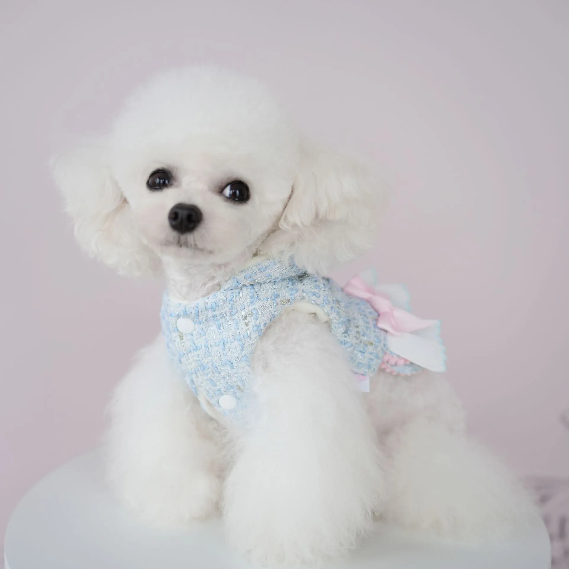 Warm Woollen Sweet Hooded Dog Dress Jacket