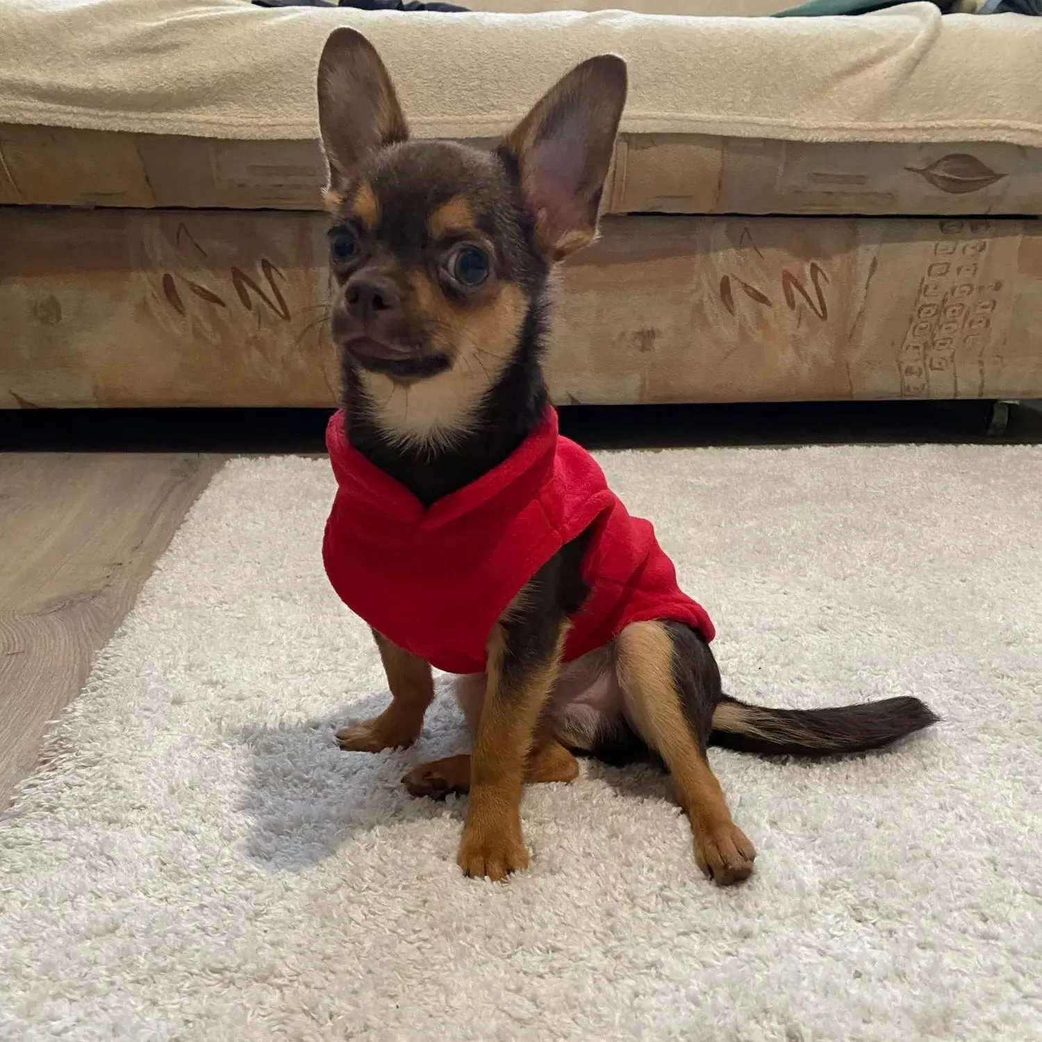 Winter Fleece Dog Cat Jacket Vest