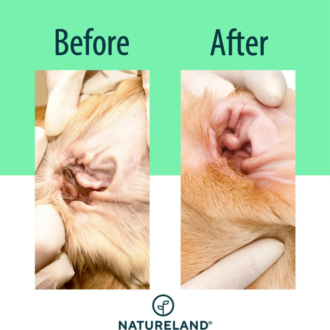 X-Large Dog Ear Cleaner Wipes