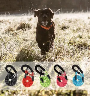 Yap & Paw Leash | PetPals®